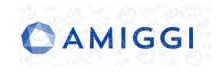 Amiggi - Array Amiggi
